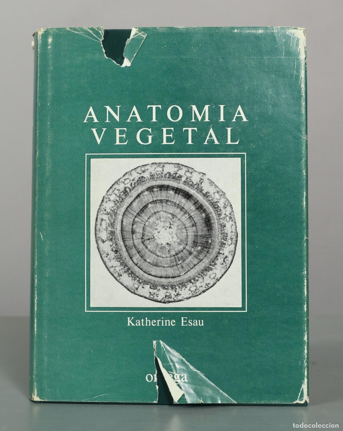 Libros de segunda mano: Anatom&iacute;a Vegetal - Katherine Esau - Ediciones Omega