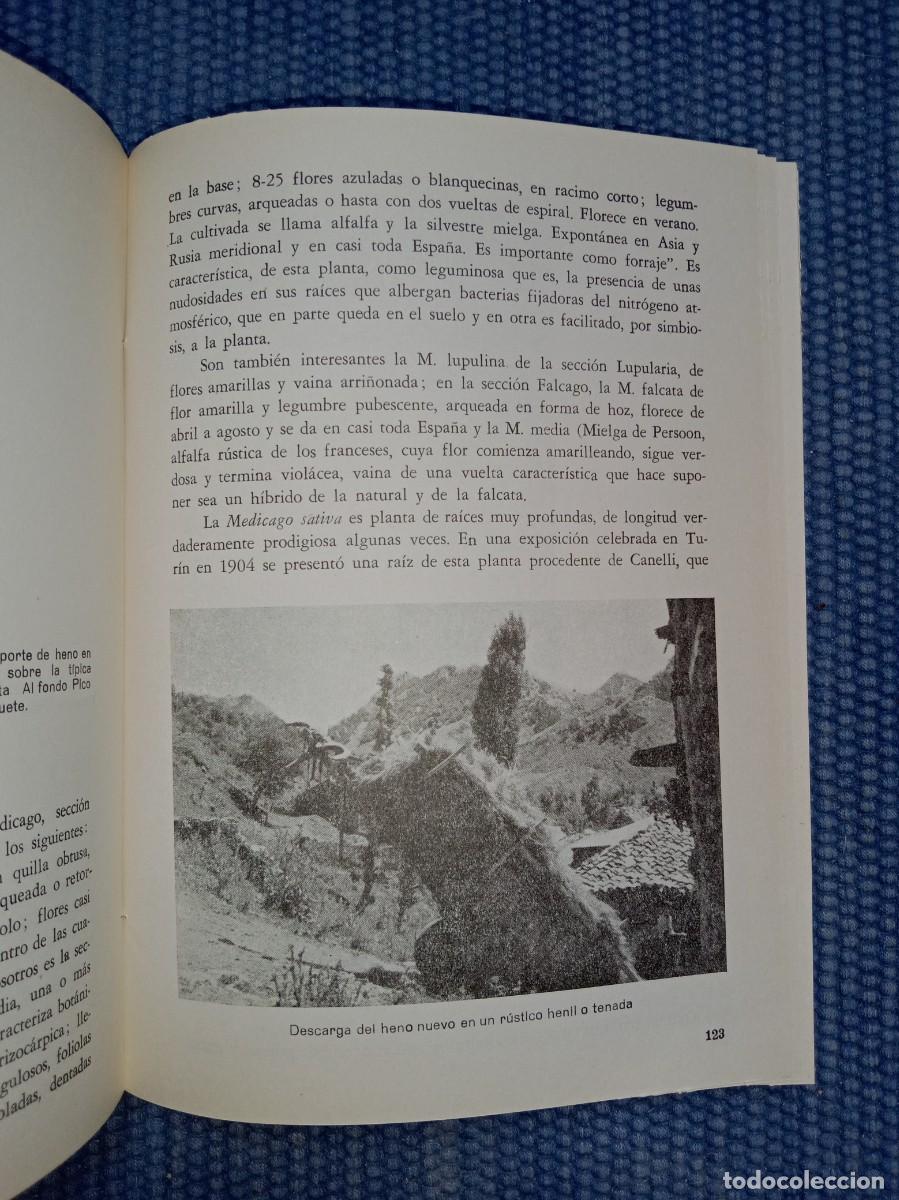 Libros de segunda mano: Explotaciones forrajeras de Le&oacute;n - Foto 2