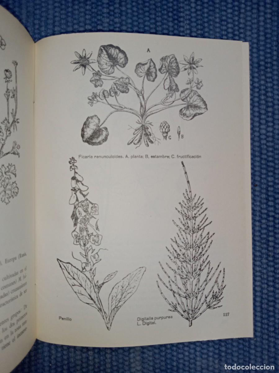 Libros de segunda mano: Explotaciones forrajeras de Le&oacute;n - Foto 3