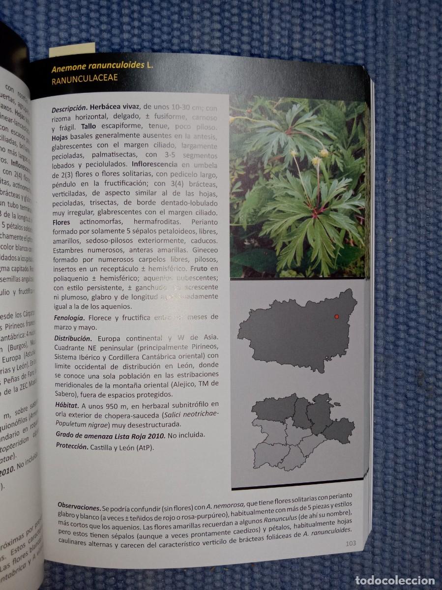 Libros de segunda mano: Flora protegida de Le&oacute;n - Foto 2