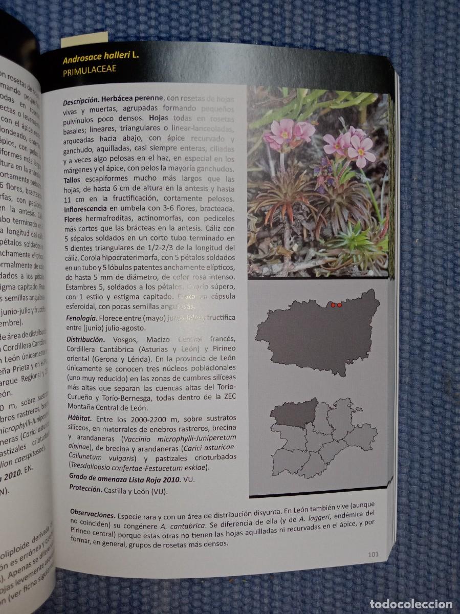 Libros de segunda mano: Flora protegida de Le&oacute;n - Foto 3
