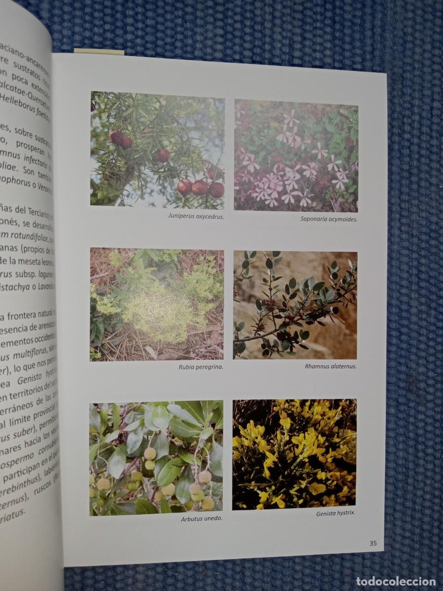 Libros de segunda mano: Flora protegida de Le&oacute;n - Foto 5