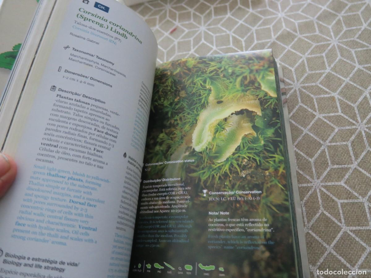 Libros de segunda mano: Guia pr&aacute;tico da Flora Nativa dos A&ccedil;ores - Foto 2