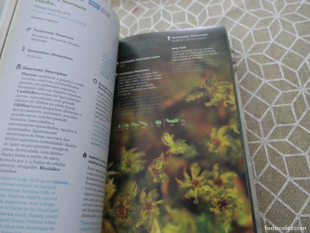 Libros de segunda mano: Guia pr&aacute;tico da Flora Nativa dos A&ccedil;ores - Foto 3