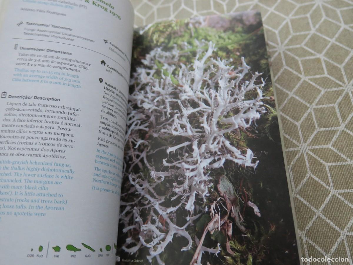 Libros de segunda mano: Guia pr&aacute;tico da Flora Nativa dos A&ccedil;ores - Foto 4