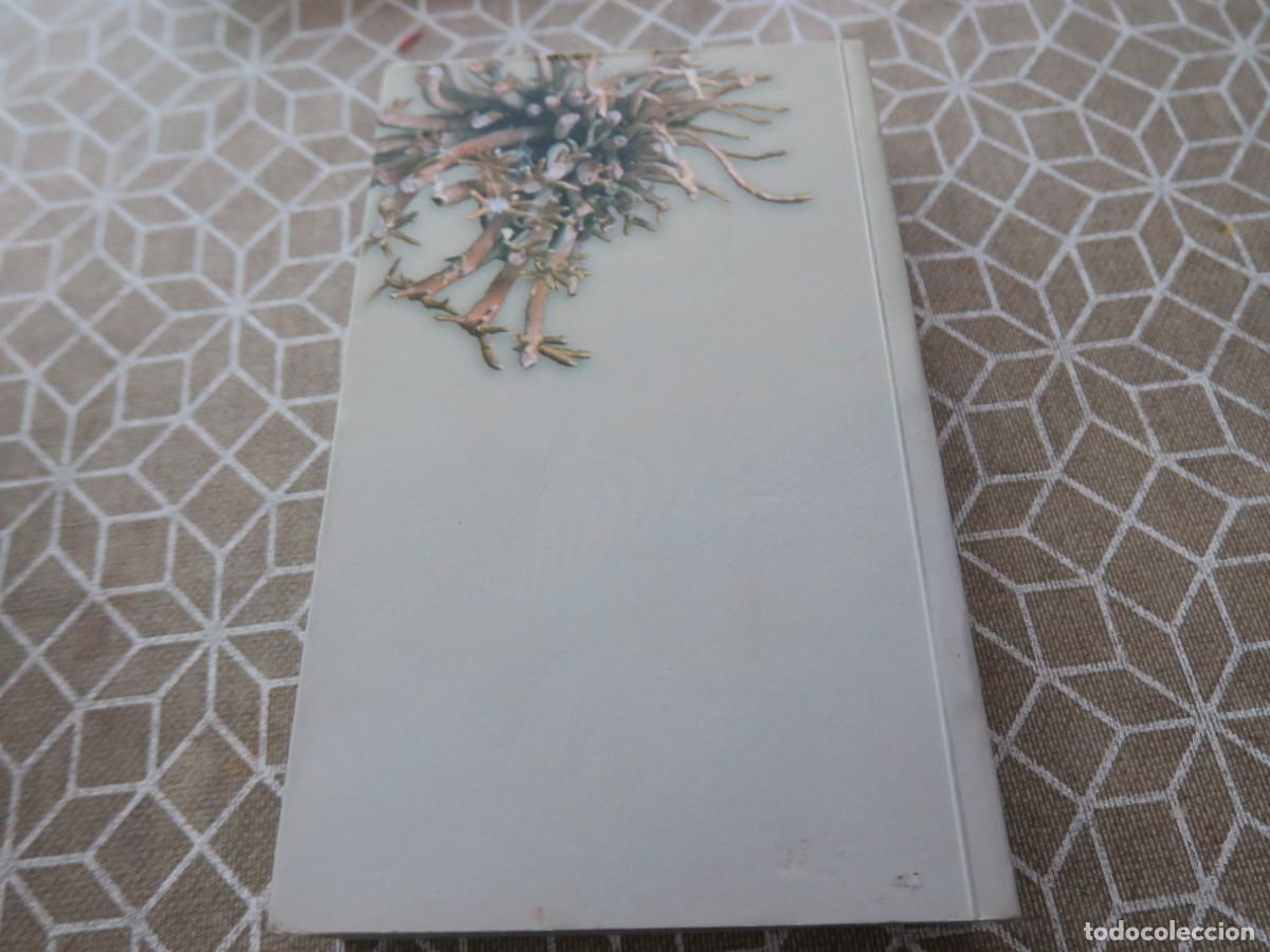 Libros de segunda mano: Guia pr&aacute;tico da Flora Nativa dos A&ccedil;ores - Foto 5