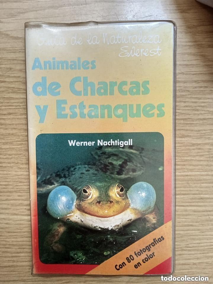 Libros de segunda mano: GUIA DE LA NATURALEZA EVEREST - ANIMALES DE CHARCAS Y ESTANQUES