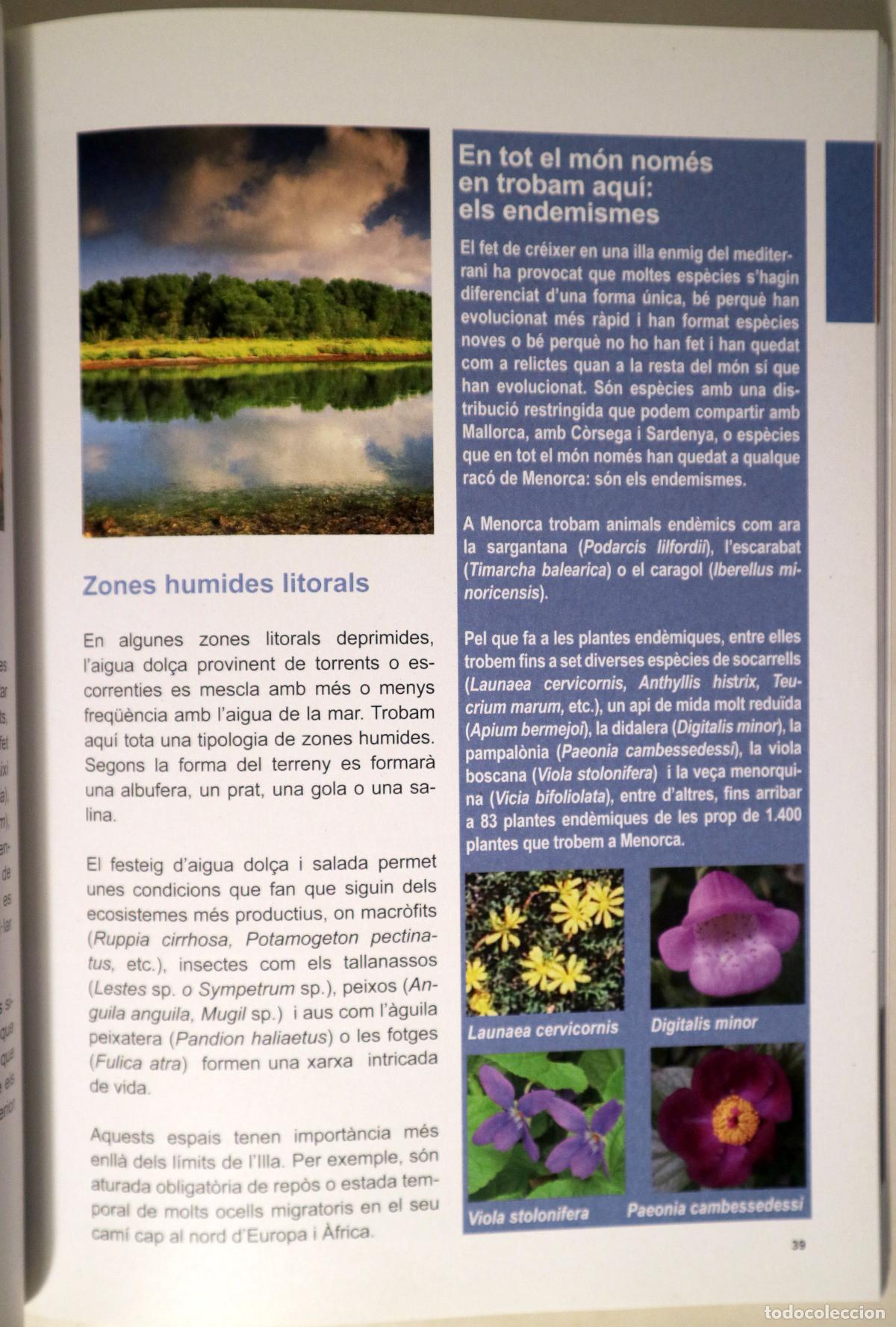 Libros de segunda mano: EL BOSC DE MENORCA / EL BOSQUE DE MENORCA - Menorca 2011 - Il&middot;lustrat - Edici&oacute; biling&uuml;e - Foto 2
