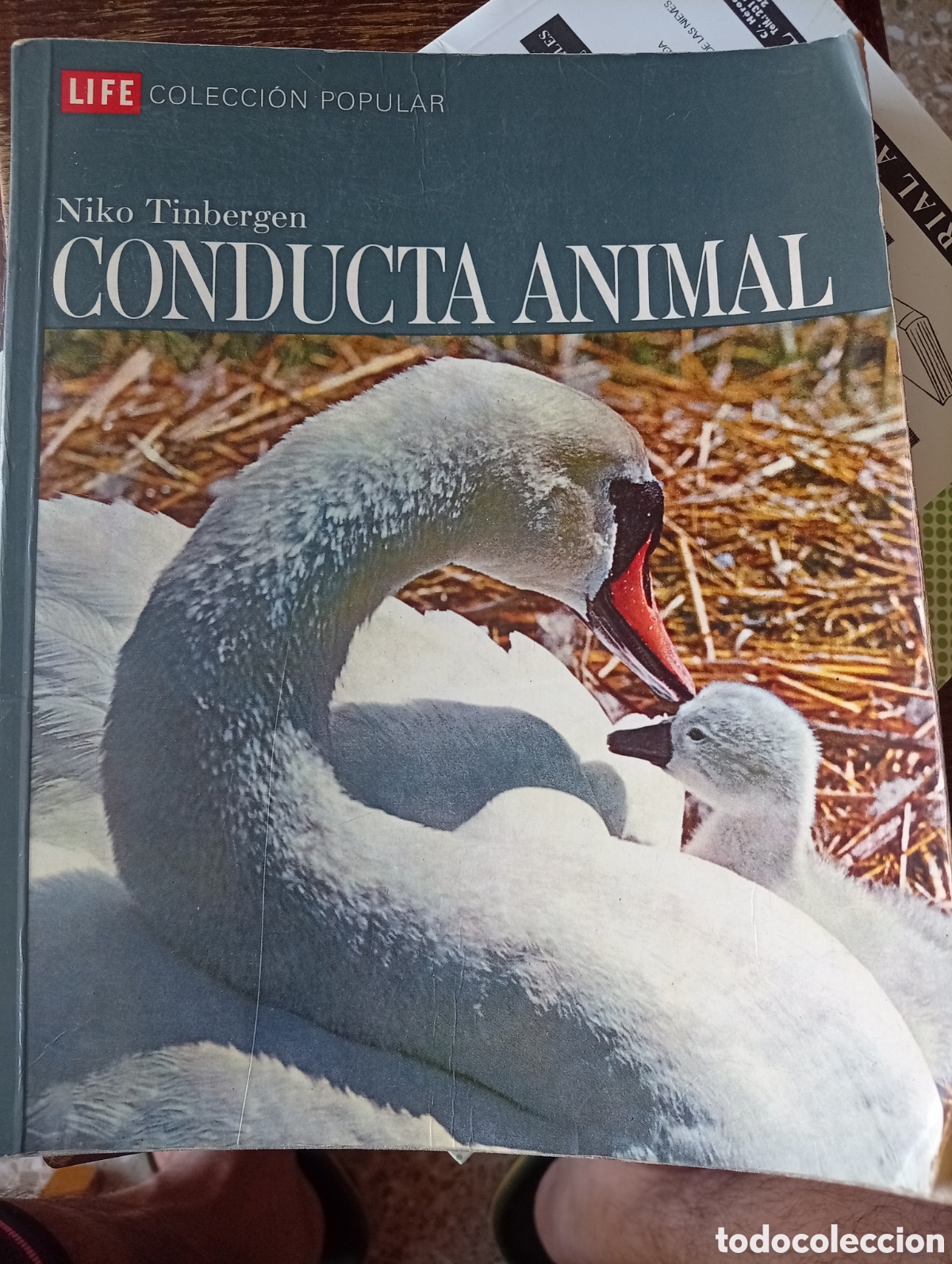 Libros de segunda mano: Conducta Animal. Niko Tinbergen