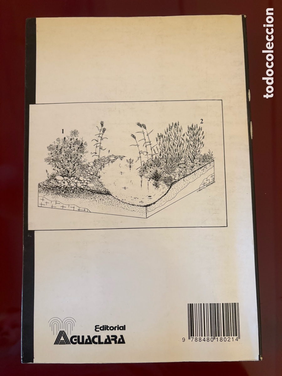 Libros de segunda mano: LES NOSTRES PLANTES &ndash; Daniel Climent i Giner - Foto 2