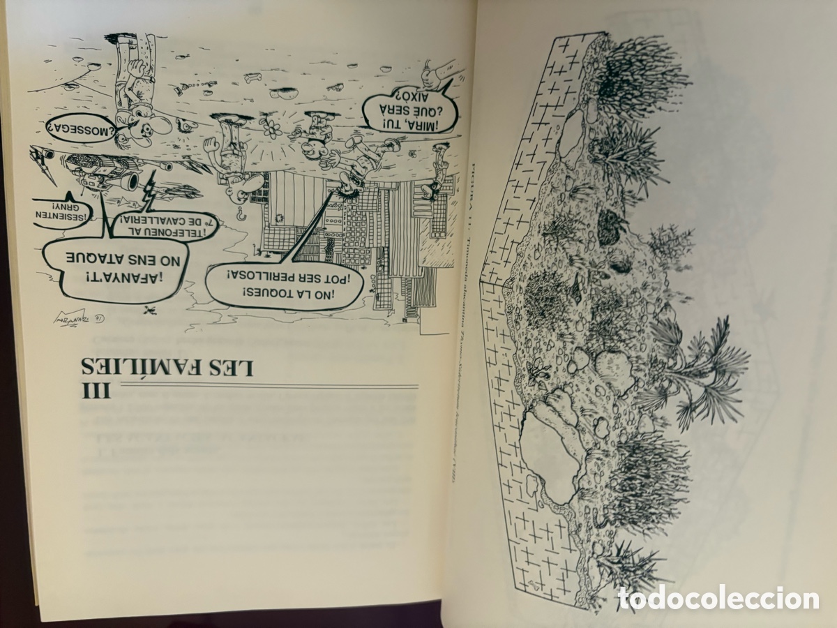 Libros de segunda mano: LES NOSTRES PLANTES &ndash; Daniel Climent i Giner - Foto 3