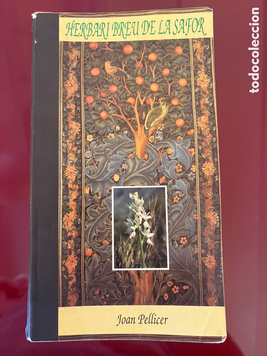 Libros de segunda mano: Herbari breu de la Safor Joan Pellicer i Bataller