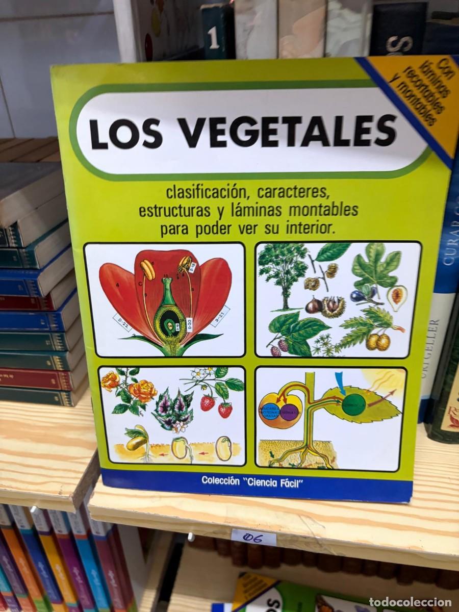 Libros de segunda mano: 06 Los vegetales, Colecci&oacute;n Ciencia F&aacute;cil