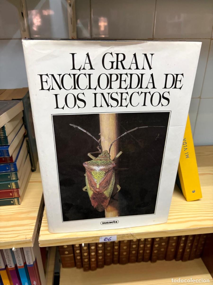 Libros de segunda mano: 06 Christopher O'Toole La gran enciclopedia de los insectos Susaeta