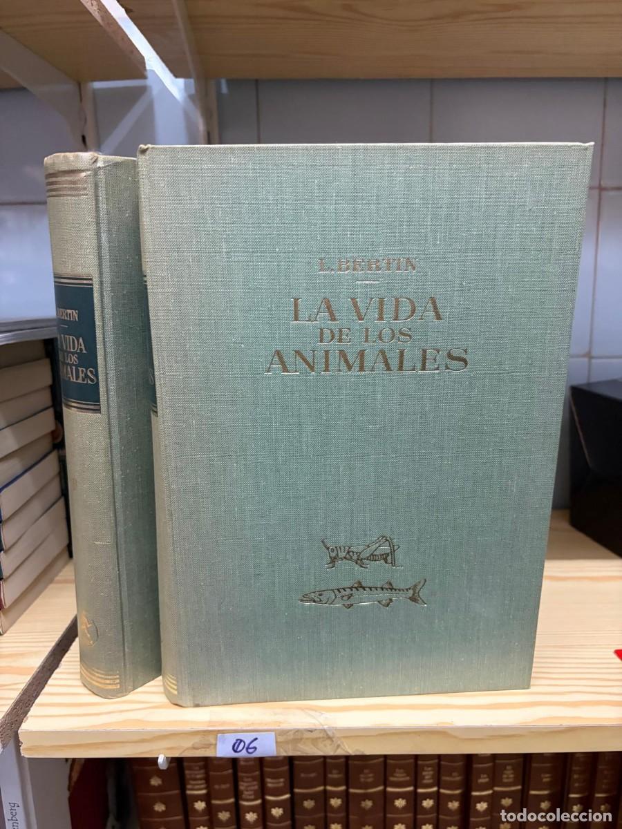 Libros de segunda mano: 06 La vida de los animales tomos 1 y 2. Le&oacute;n Bertin. Editorial Labor 1970. Ilustrados. Tapas duras.