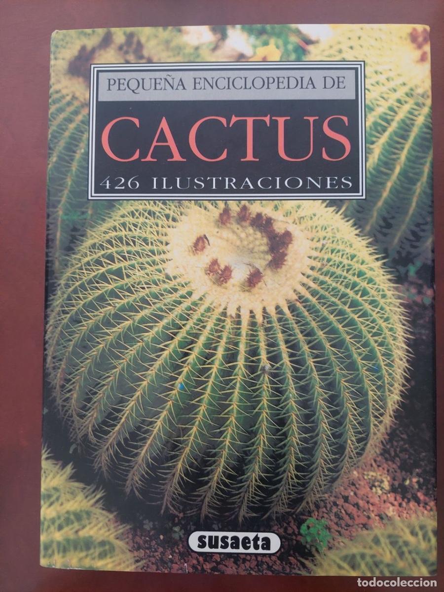Libros de segunda mano: Peque&ntilde;a Enciclopedia de Cactus. Jan Rh&iacute;a y Rudolf Sub&iacute;k. 426 ilustraciones. Susaeta 1991