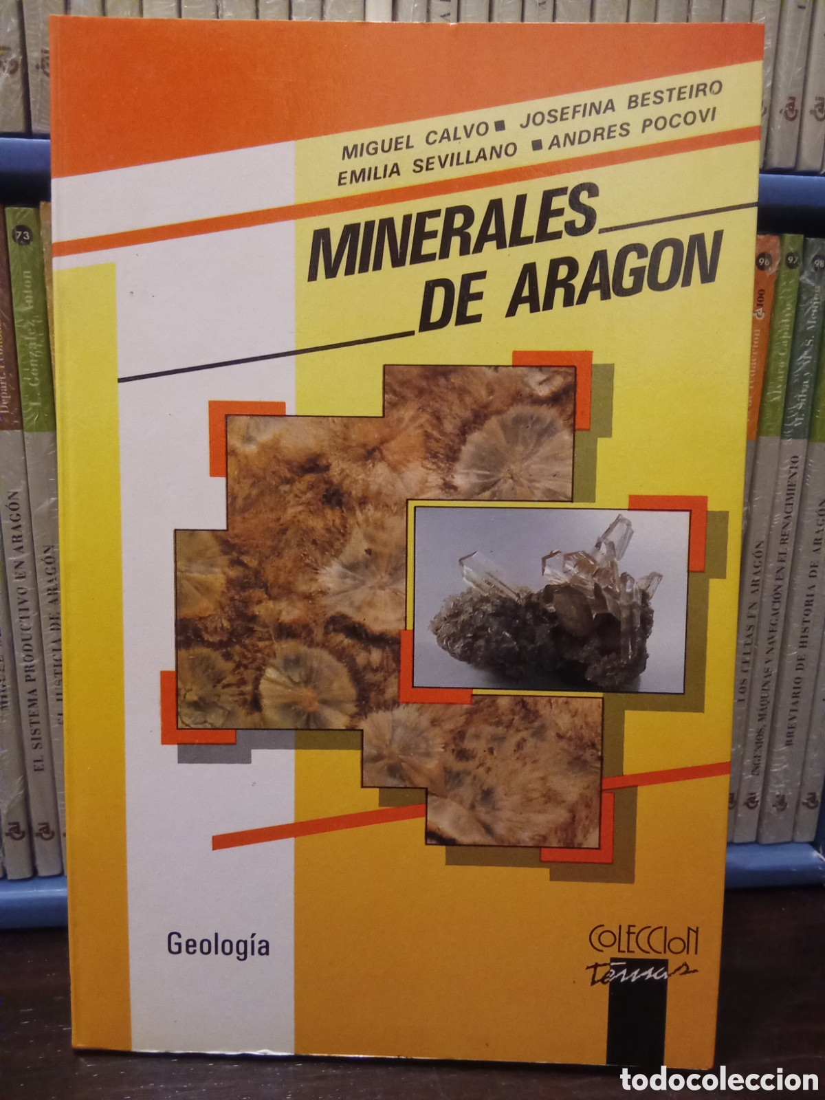 Gebrauchte B&uuml;cher: MINERALES DE ARAG&Oacute;N - Miguel Calvo &bull; Josefina Bestiero &bull; Emilia Sevillano