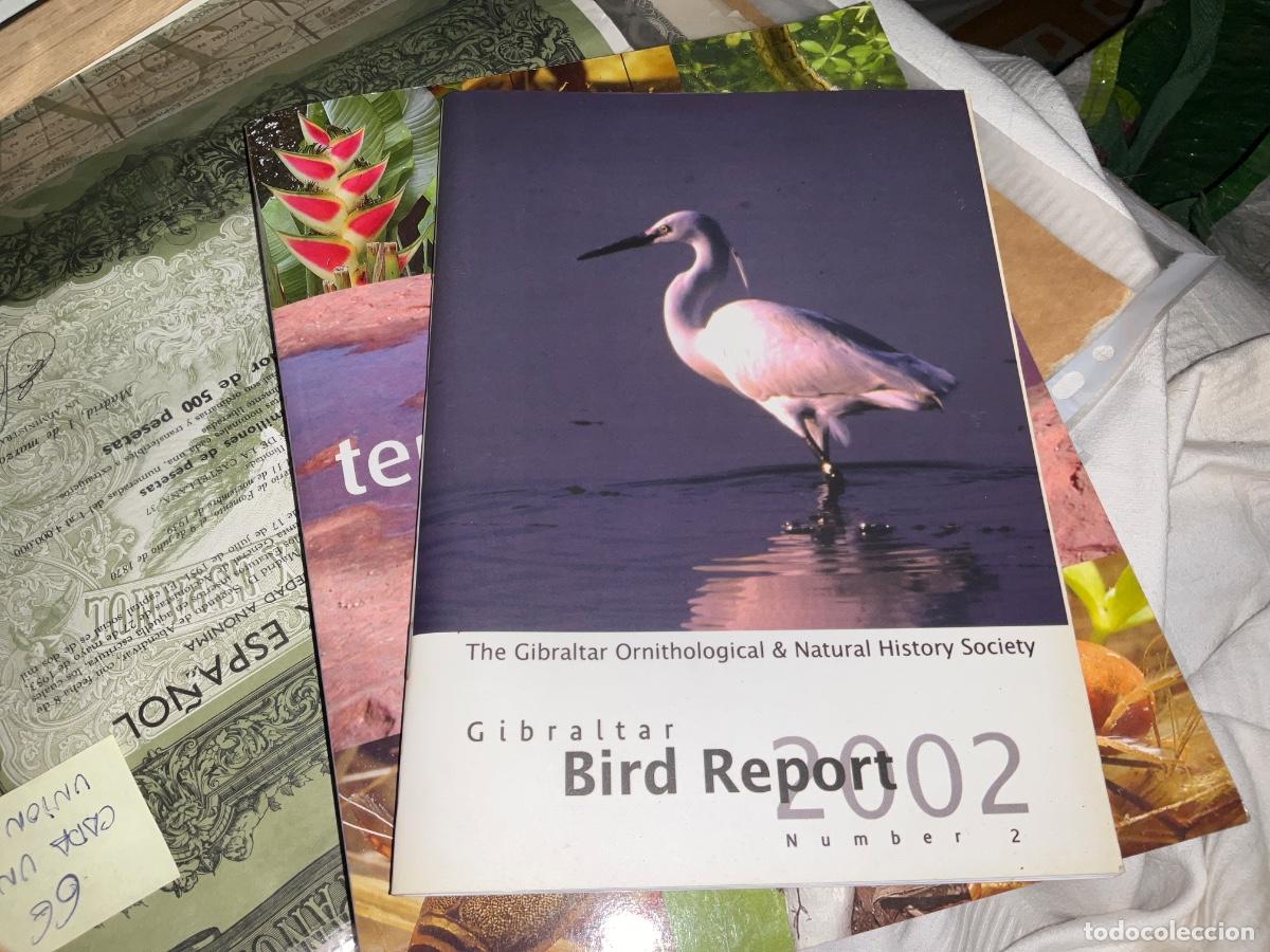 Libros de segunda mano: Gibraltar bird report 2002