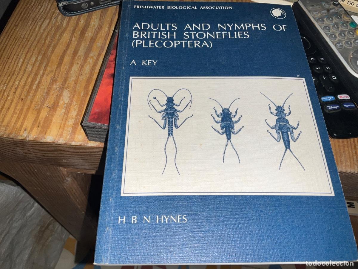 Libros de segunda mano: Adults and Nymphs Of British Stoneflies (Plecoptera) H. B. N. Hynes