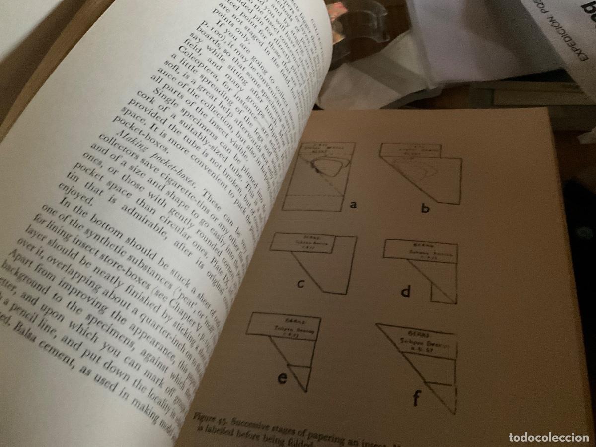 Libros de segunda mano: Collecting, Preserving and Studying Insects Harold oldroyd - Foto 5