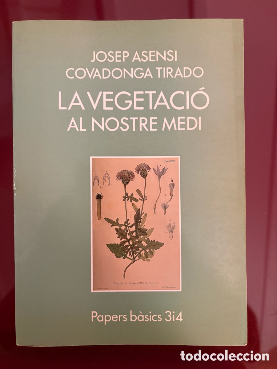 Libros de segunda mano: Josep Asensi / Covadonga Tirado La vegetaci&oacute; al nostre medi