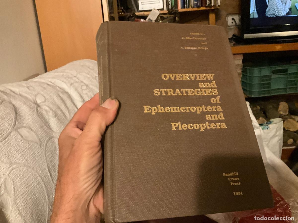 Libros de segunda mano: Overview and Strategies of Ephemeroptera and Plecoptera. Alba-Tercedor, J & A. Sanchez-Ortega (eds)