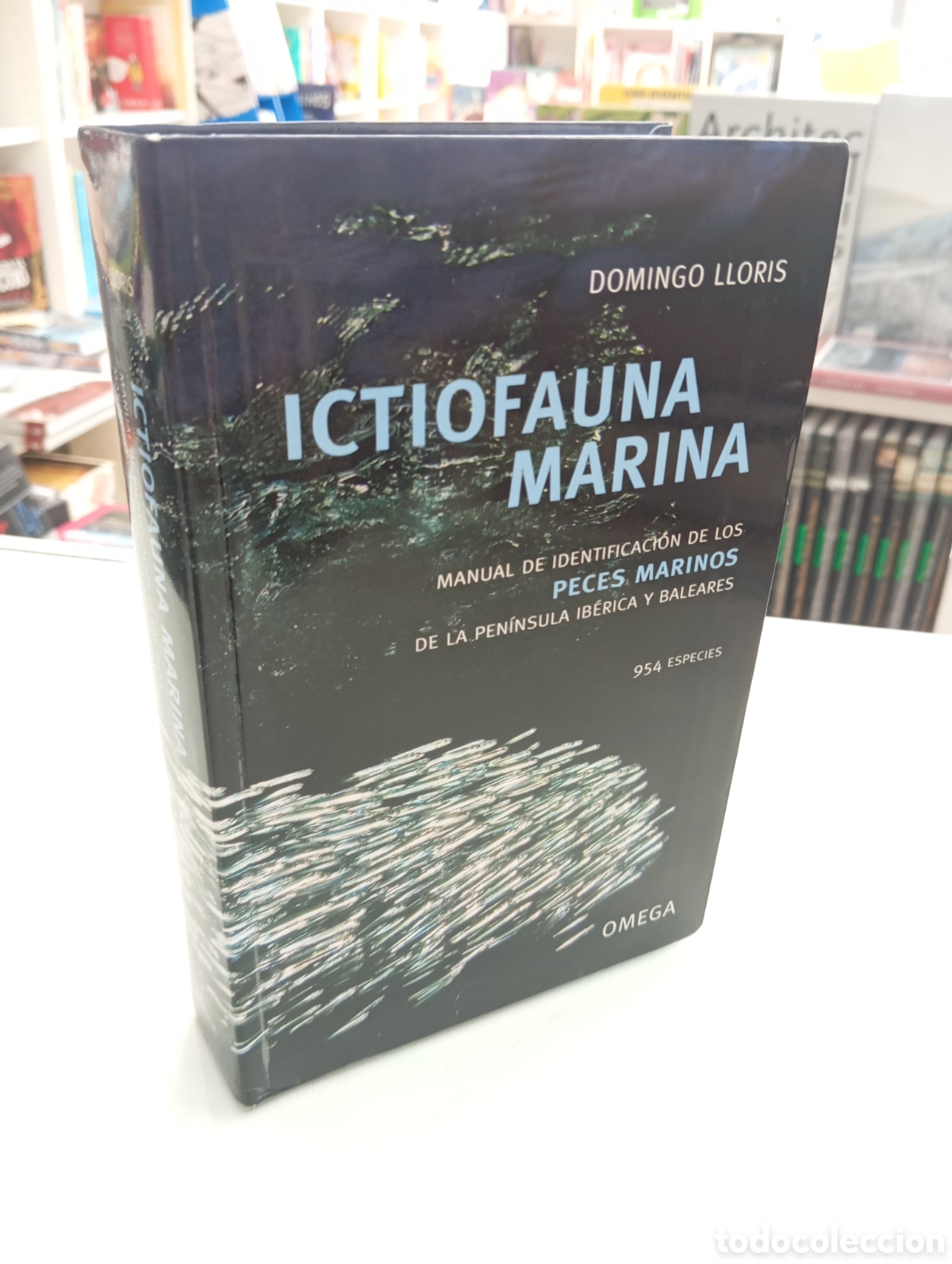 Libros de segunda mano: ICTIOFAUNA MARINA MANUAL DE IDENTIFICACI&Oacute;N DE LOS PECES PENINSULA Y BALEARES DOMINGO LLORIS OMEGA
