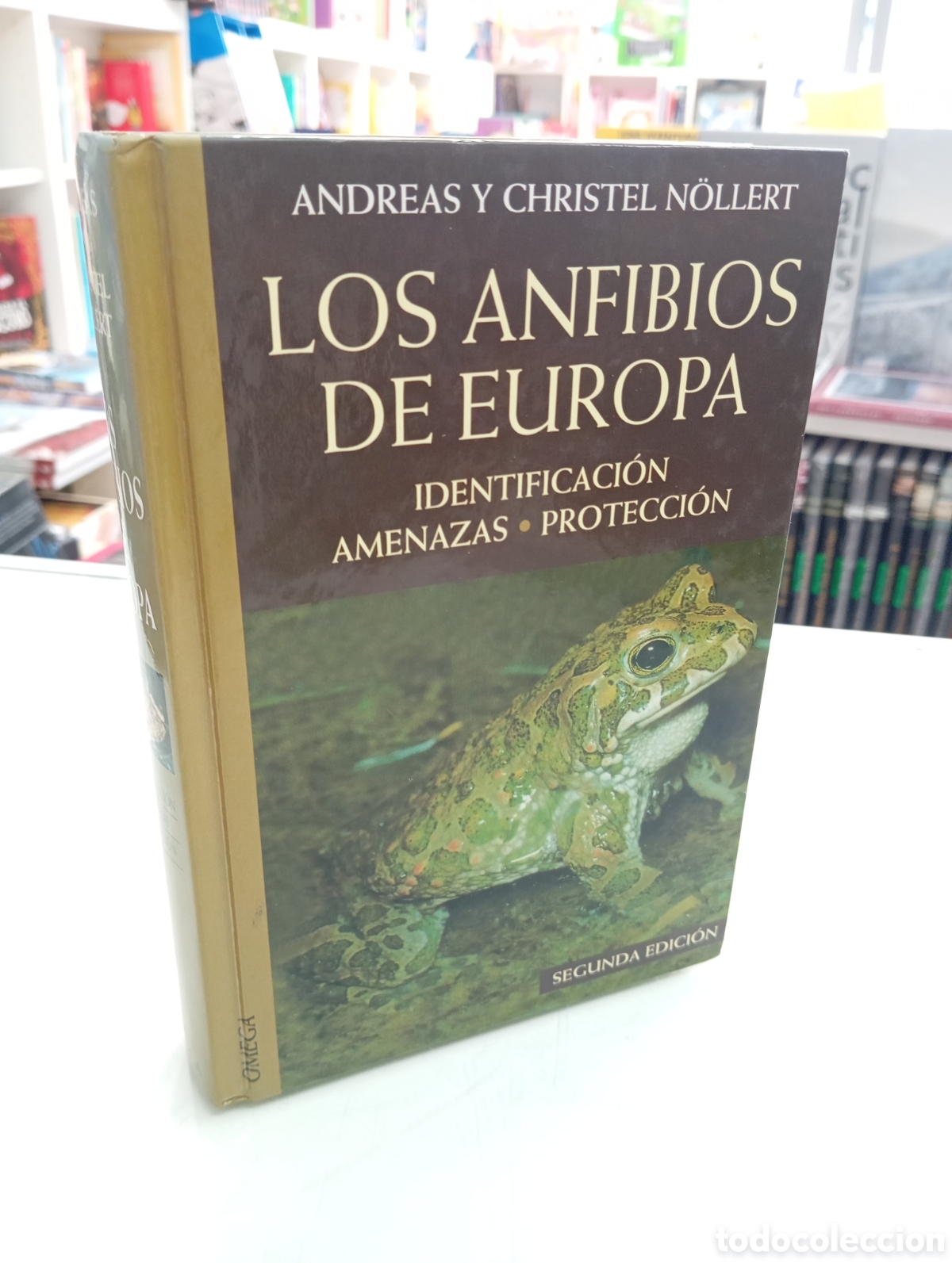 Libros de segunda mano: LOS ANFIBIOS DE EUROPA IDENTIFICACI&Oacute;N AMENAZAS PROTECCI&Oacute;N ANDREAS Y CHRISTEL N&Ouml;LLERT ED. OMEGA 1995