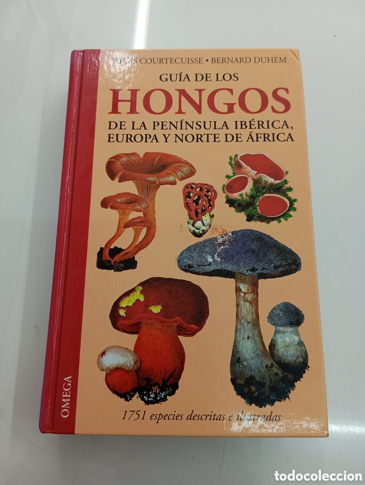 Libros de segunda mano: LOS ANFIBIOS DE EUROPA IDENTIFICACI&Oacute;N AMENAZAS PROTECCI&Oacute;N ANDREAS Y CHRISTEL N&Ouml;LLERT ED. OMEGA 1995