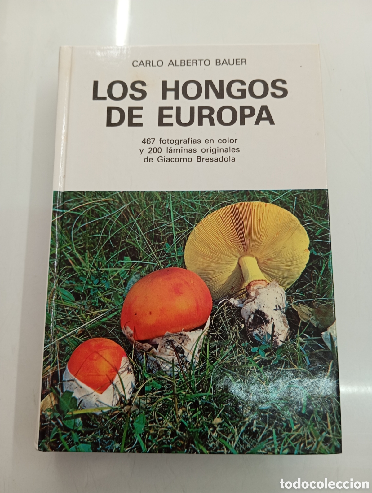 Libros de segunda mano: LOS HONGOS DE EUROPA / CARLO ALBERTO BAUER / EDICIONES OMEGA 1981 fotografias y laminas G. Bresadola