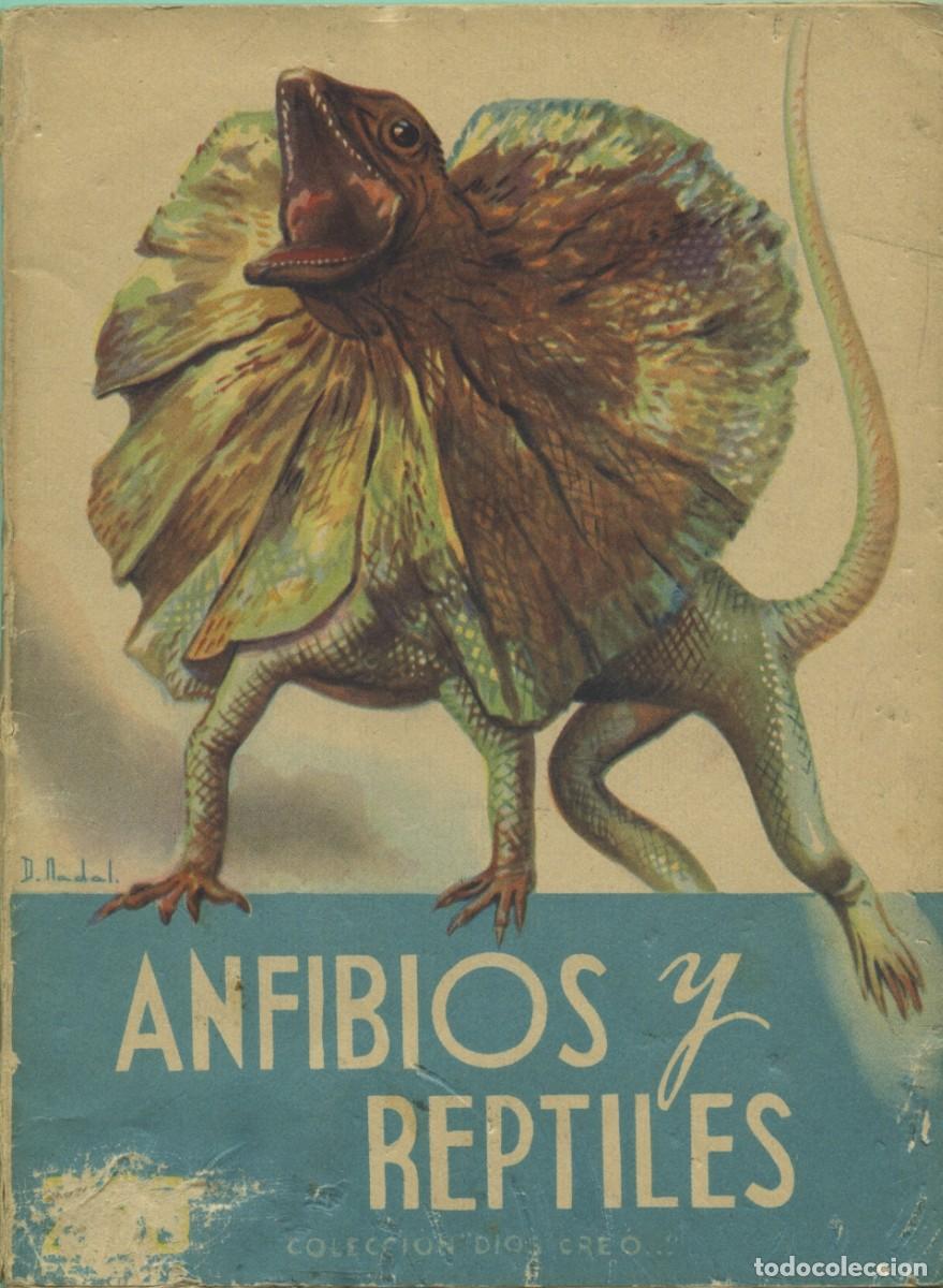 Libros de segunda mano: Antonio de Pastors. ANFIBIOS Y REPTILES. Colecci&oacute;n &rdquo;Dios cre&oacute;...&rdquo; Volumen XXX. Ed. Reguera. Barcelon