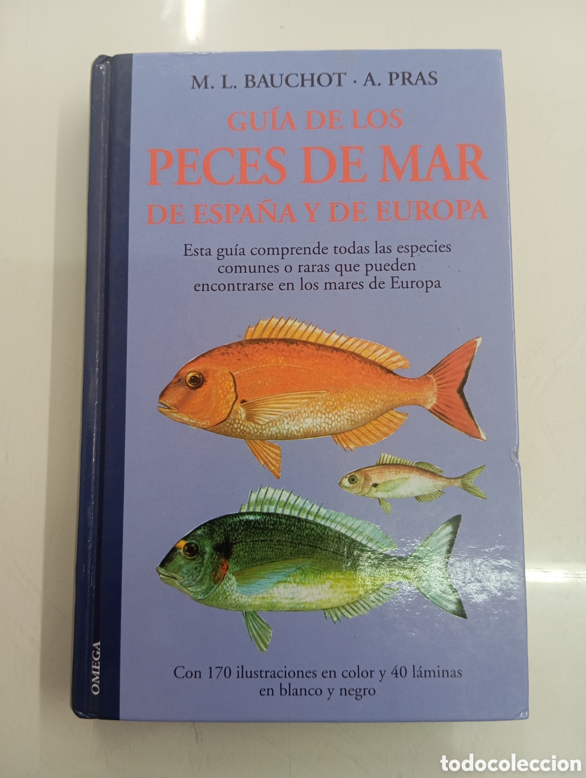 Libros de segunda mano: Gu&iacute;a de los peces de mar de Espa&ntilde;a y de Europa 2004 M. L. Bauchot A. PRAS 4&ordf; Ed Omega ILUSTRADA