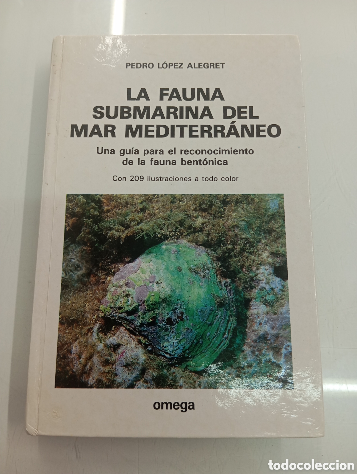 Libros de segunda mano: LA FAUNA SUBMARINA DEL MAR MEDITERR&Aacute;NEO Gu&iacute;a para el reconocimiento fauna bent&oacute;nica P. Lopez Alegret