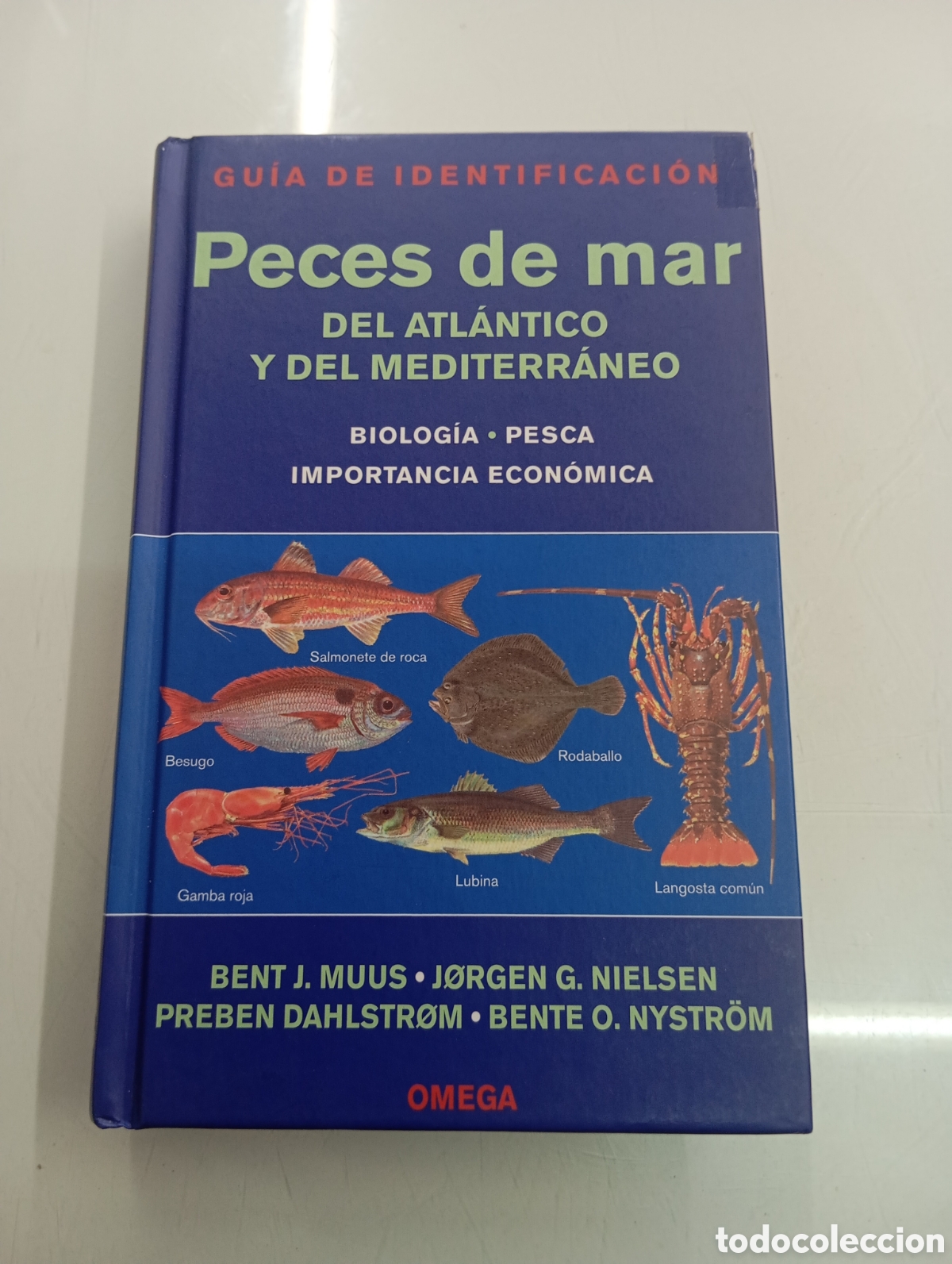 Libros de segunda mano: PECES DE MAR - DEL ATL&Aacute;NTICO Y DEL MEDITERR&Aacute;NEO - GU&Iacute;A DE IDENTIFICACI&Oacute;N EDICIONES OMEGA. 2007