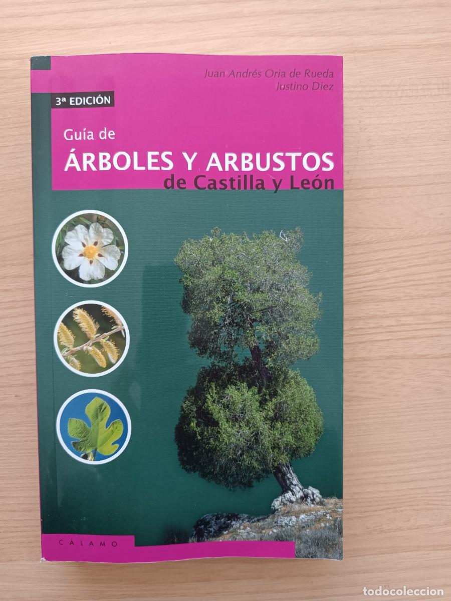 Libros de segunda mano: Gu&iacute;a de &aacute;rboles y arbustos de Castilla y Le&oacute;n - Juan Andr&eacute;s Oria de Rueda y Justino Diez