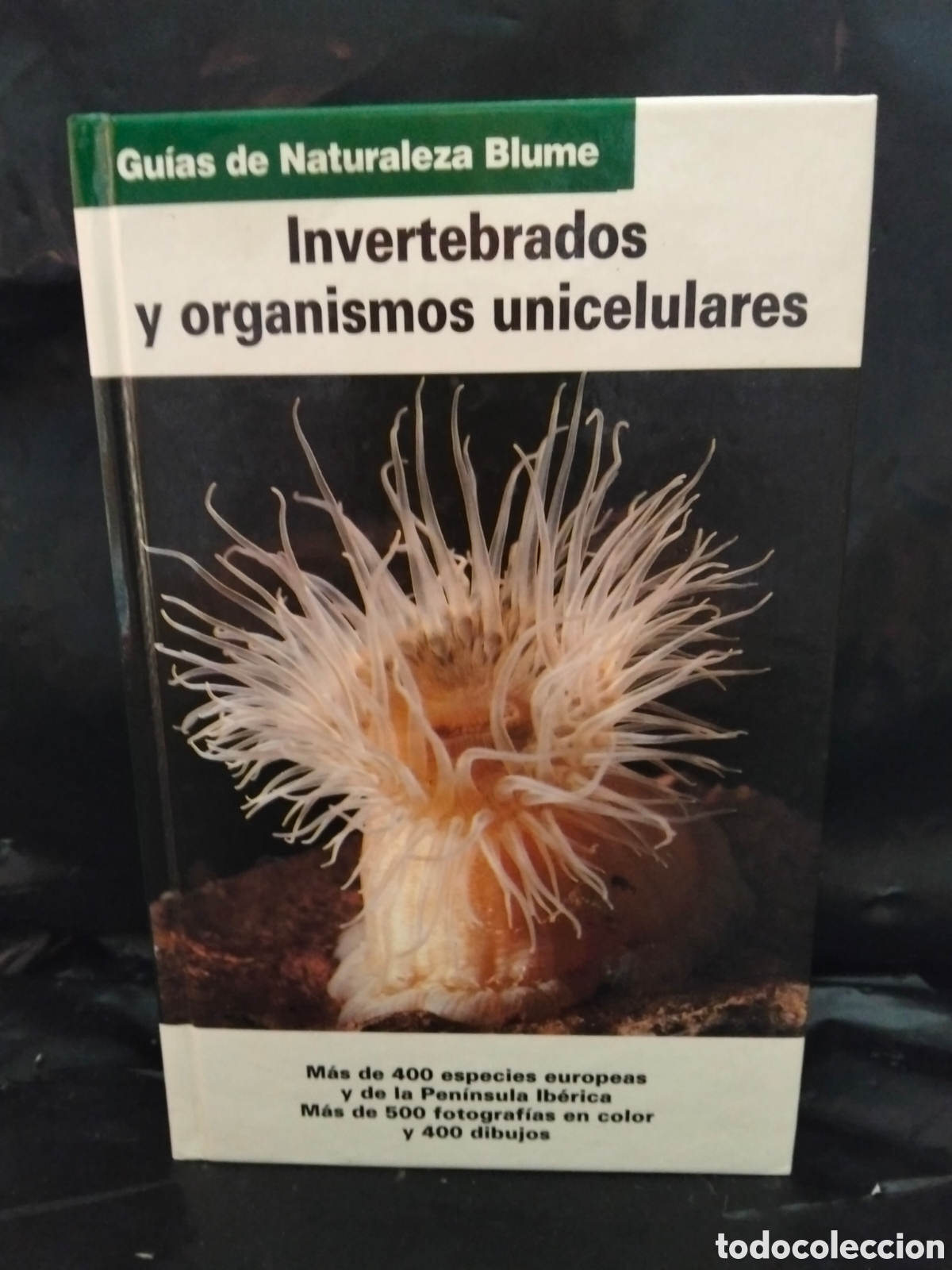 Libros de segunda mano: VV. AA. INVERTEBRADOS Y ORGANISMOS UNICELULARES .BLUME