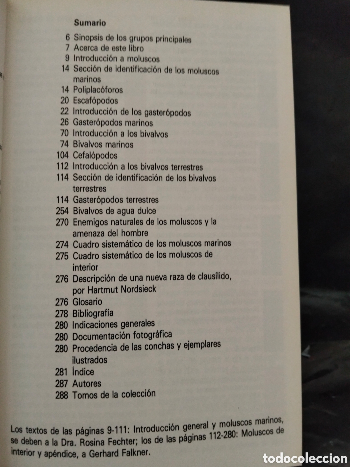 Libros de segunda mano: VV AA. MOLUSCOS .BLUME - Foto 3