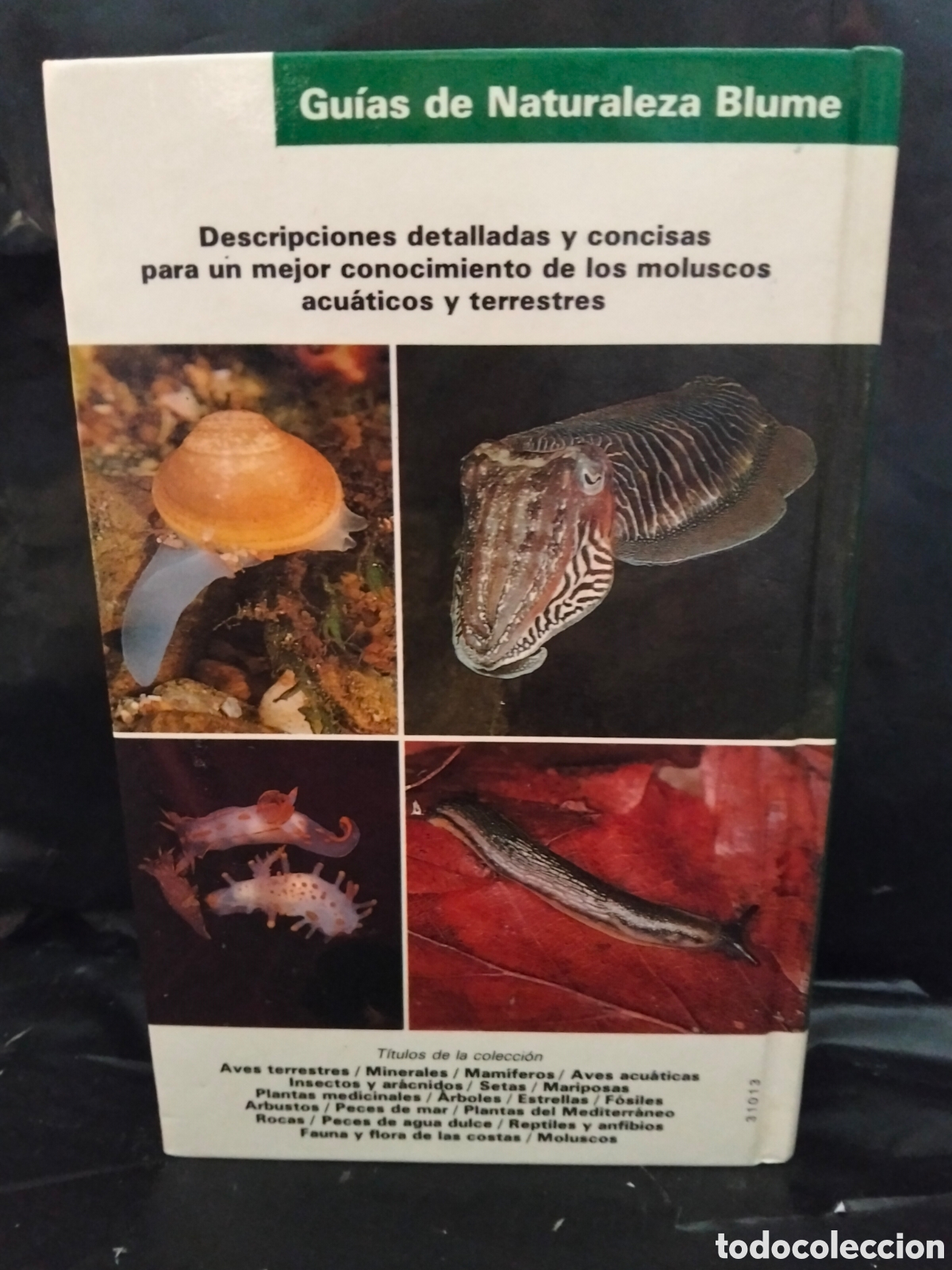 Libros de segunda mano: VV AA. MOLUSCOS .BLUME - Foto 7