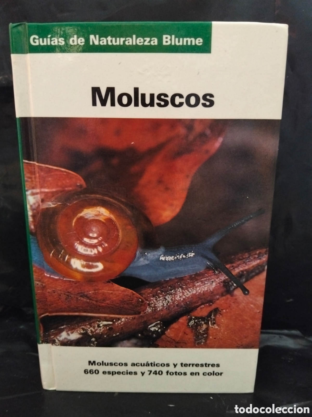 Libros de segunda mano: VV AA. MOLUSCOS .BLUME