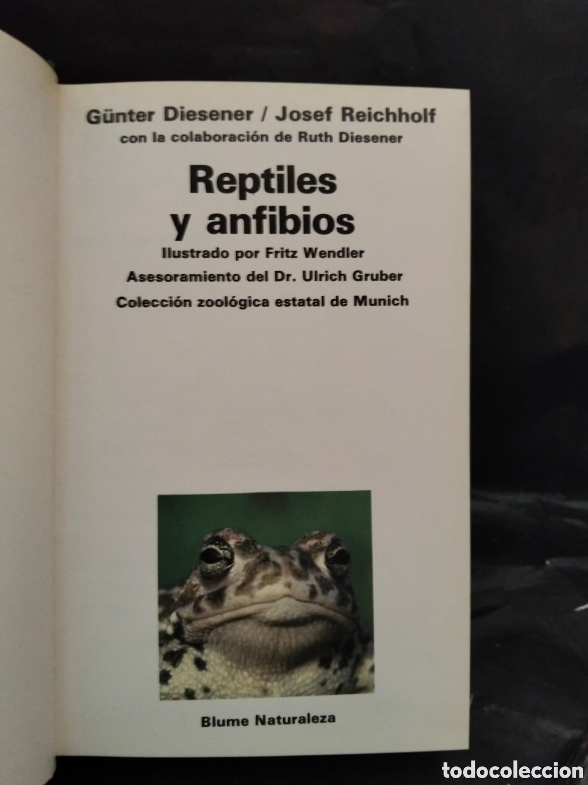 Libros de segunda mano: VV. AA. REPTILES Y ANFIBIOS .BLUME - Foto 2