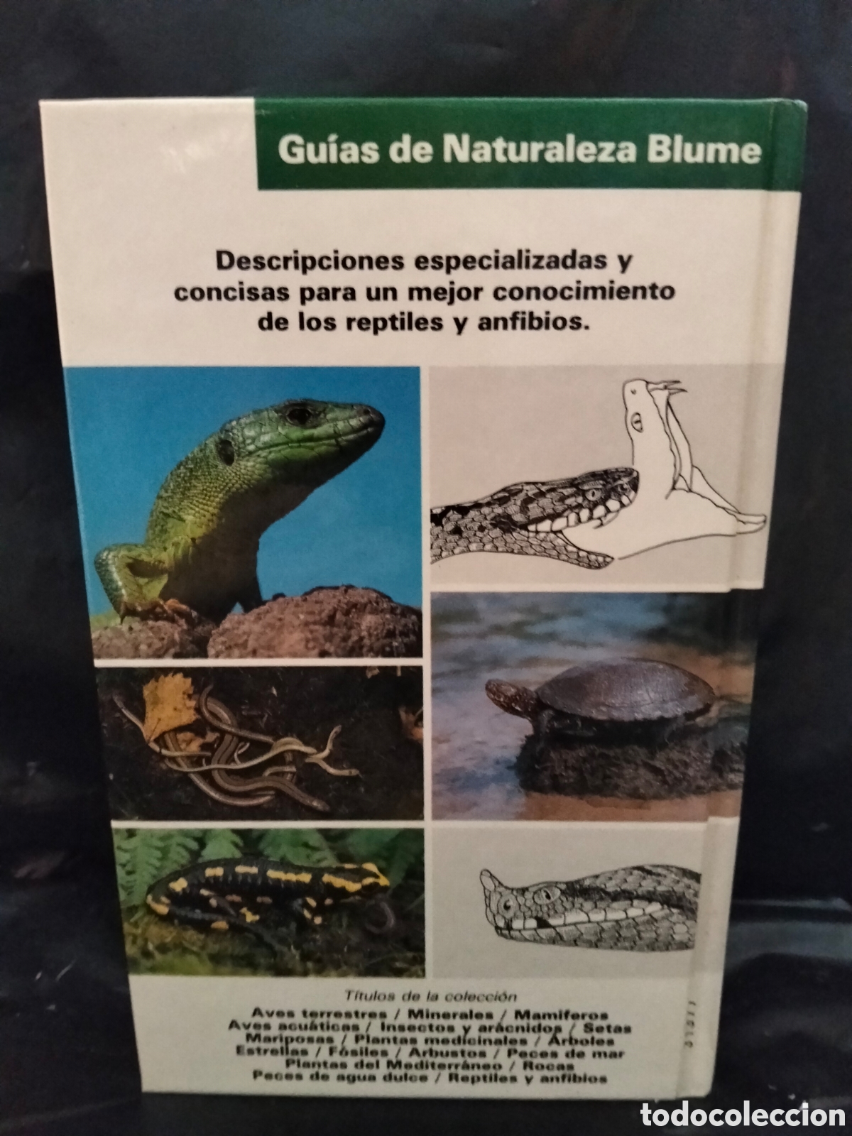 Libros de segunda mano: VV. AA. REPTILES Y ANFIBIOS .BLUME - Foto 7