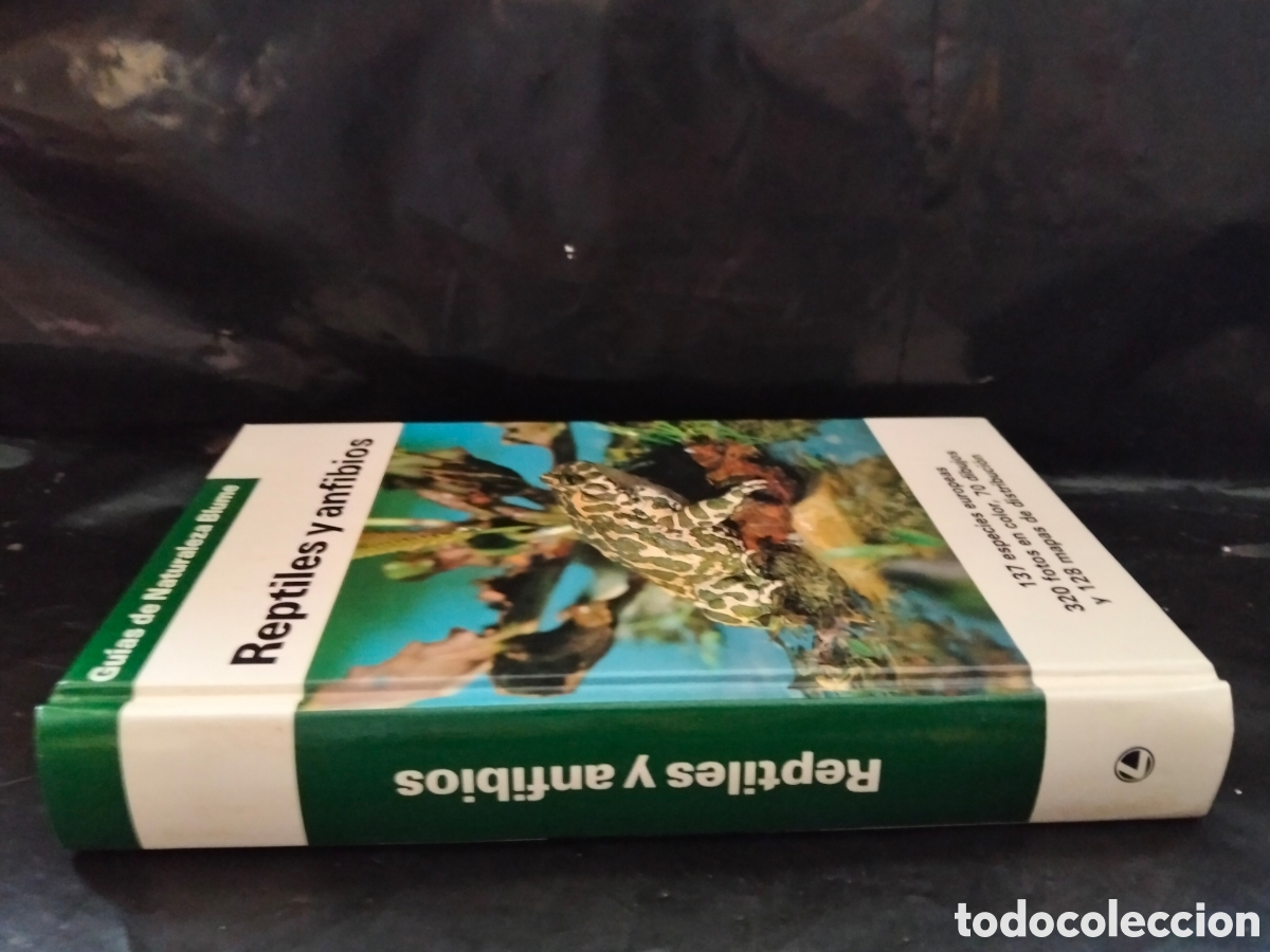 Libros de segunda mano: VV. AA. REPTILES Y ANFIBIOS .BLUME - Foto 8