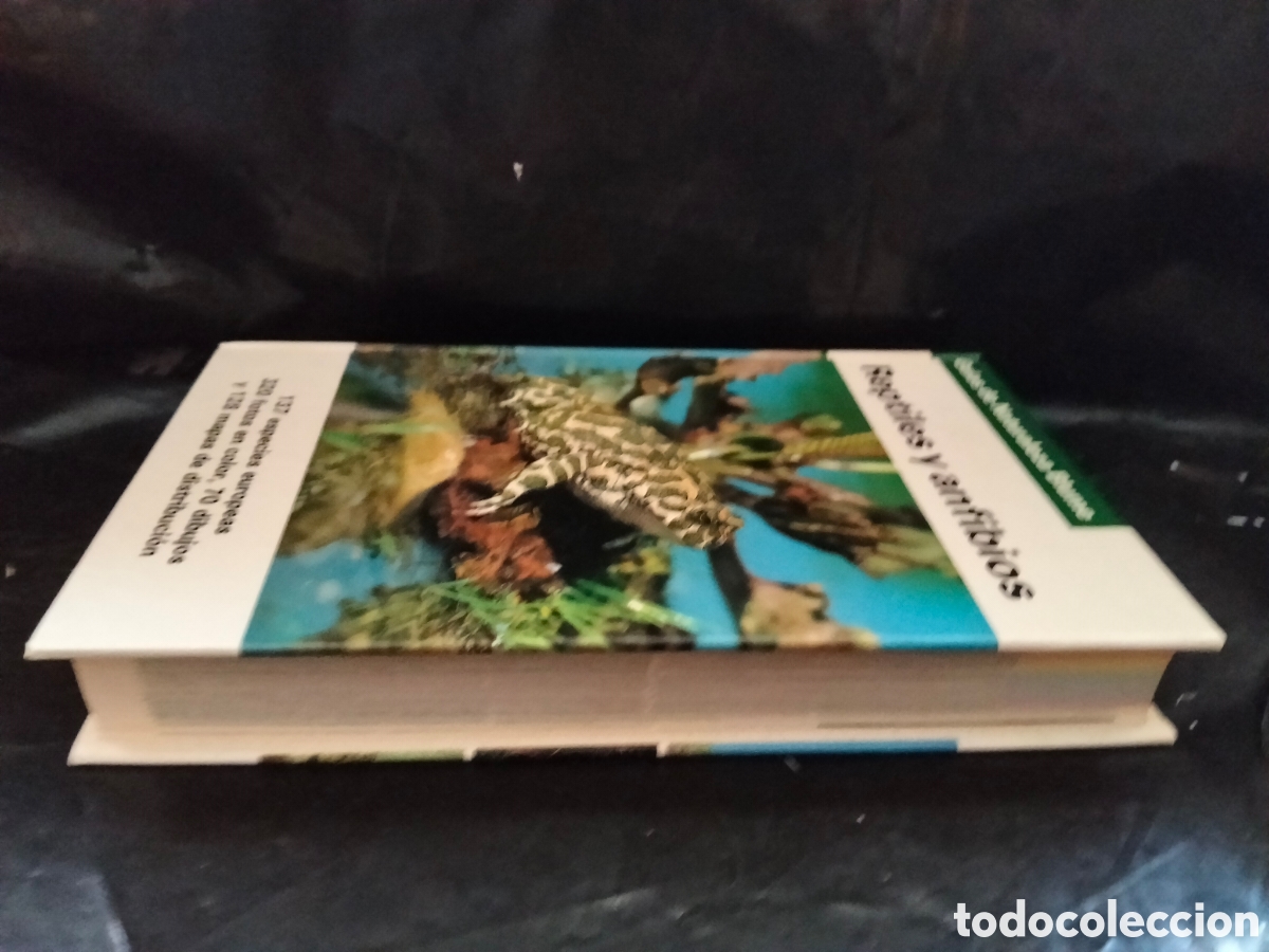 Libros de segunda mano: VV. AA. REPTILES Y ANFIBIOS .BLUME - Foto 9