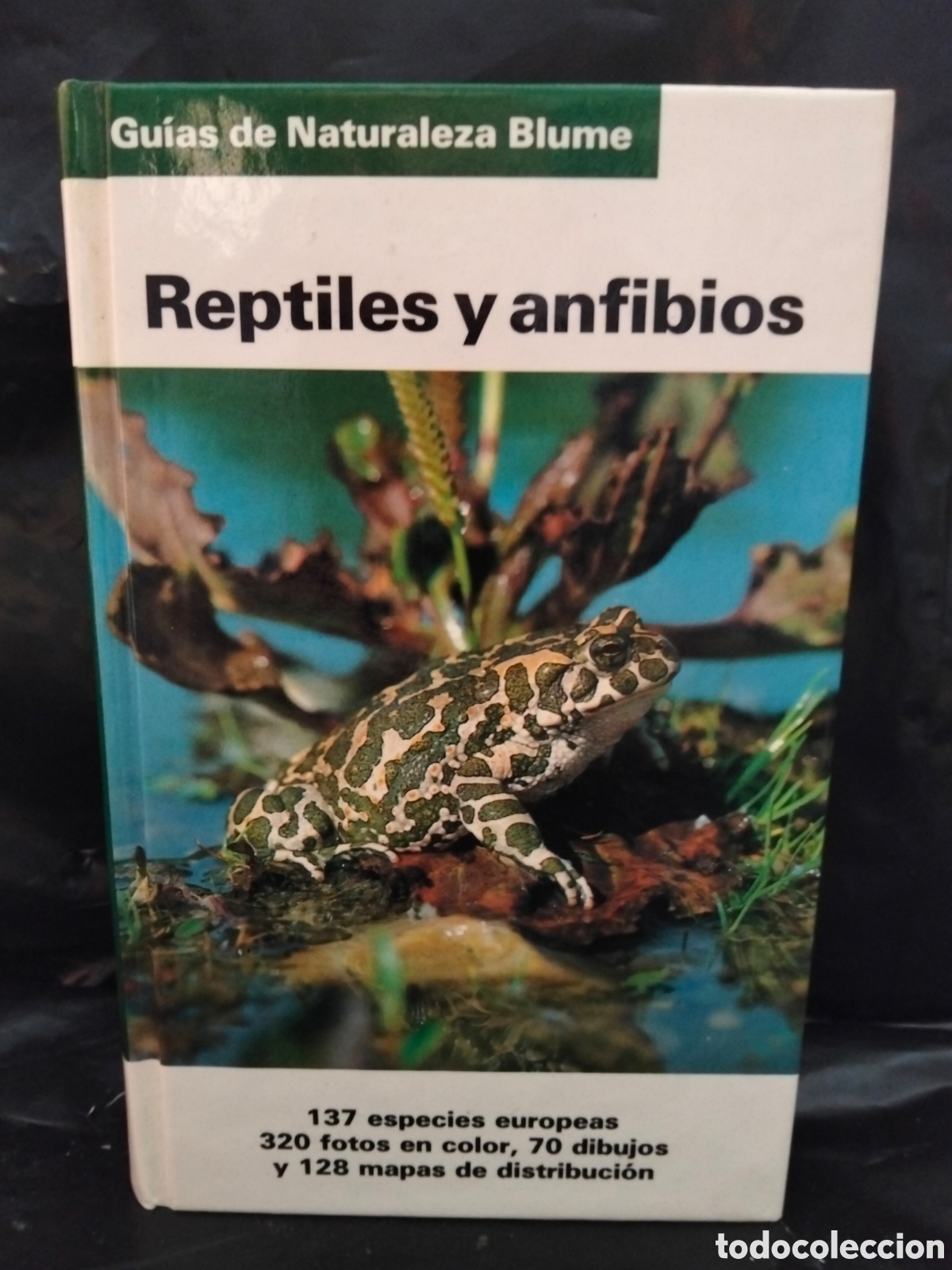 Libros de segunda mano: VV. AA. REPTILES Y ANFIBIOS .BLUME