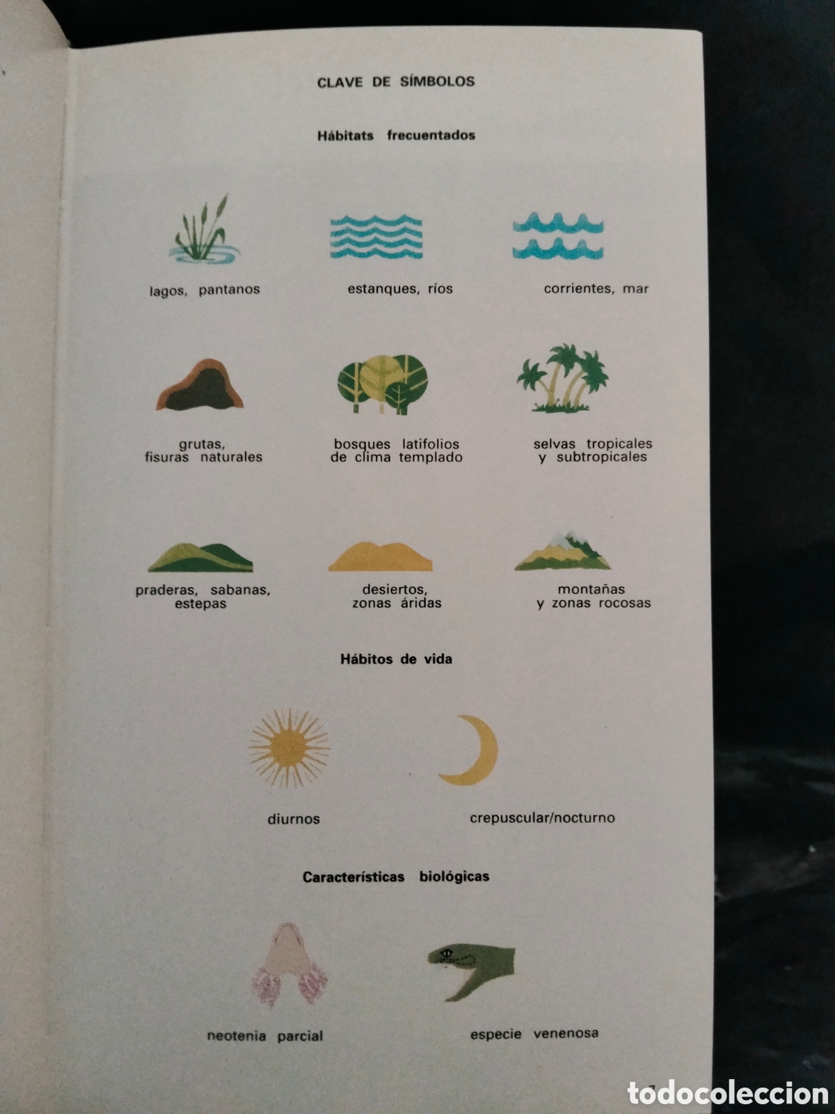 Libros de segunda mano: MASSIMO CAPULA. GU&Iacute;A DE ANFIBIOS Y REPTILES .GRIJALBO - Foto 4