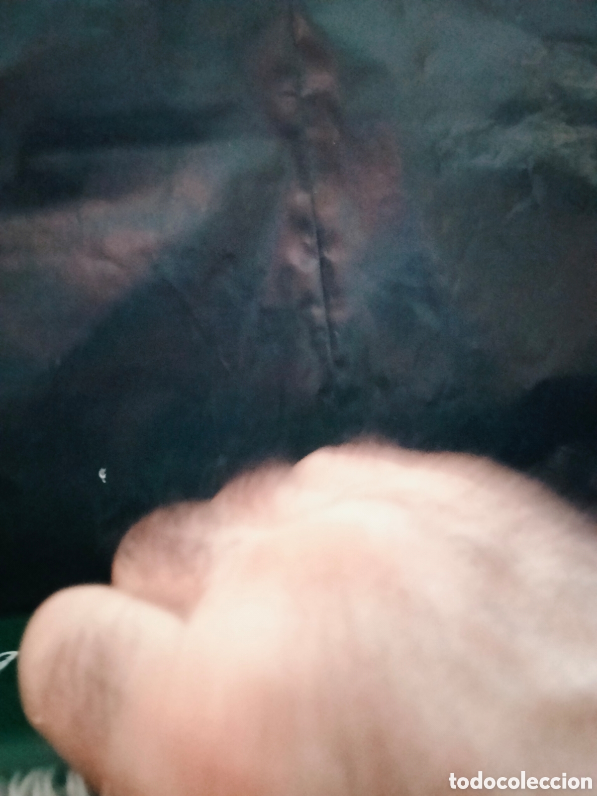 Libros de segunda mano: MASSIMO CAPULA. GU&Iacute;A DE ANFIBIOS Y REPTILES .GRIJALBO - Foto 9