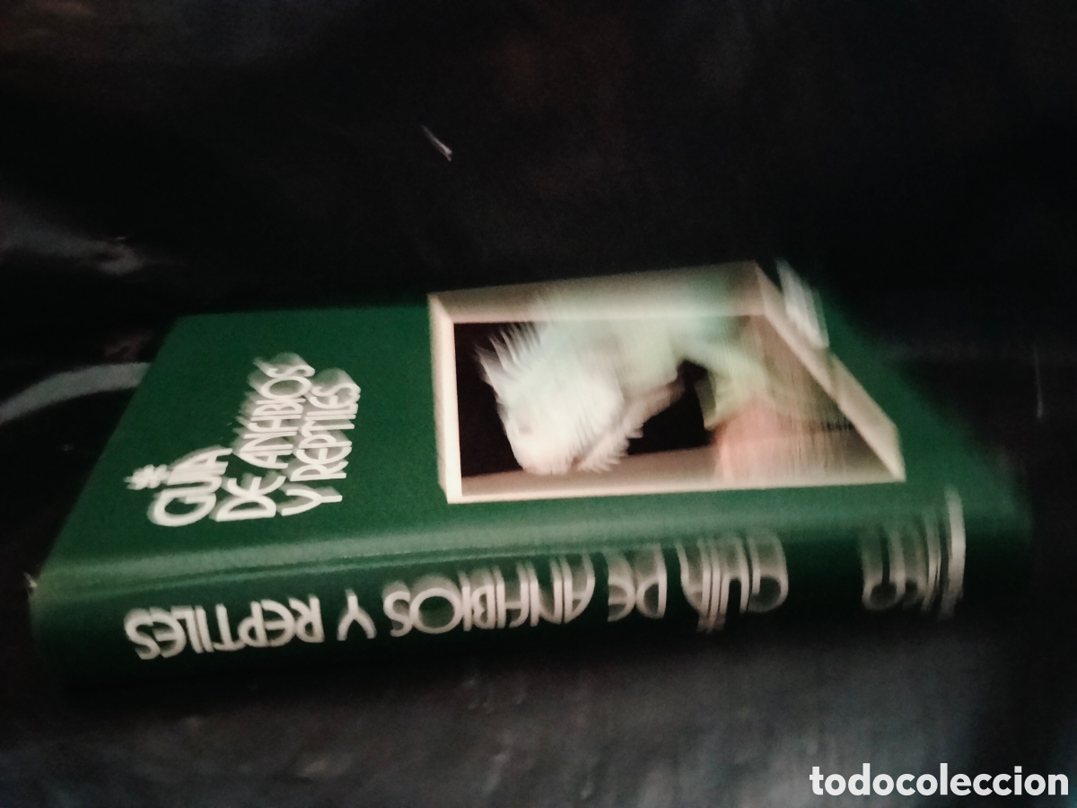 Libros de segunda mano: MASSIMO CAPULA. GU&Iacute;A DE ANFIBIOS Y REPTILES .GRIJALBO - Foto 10