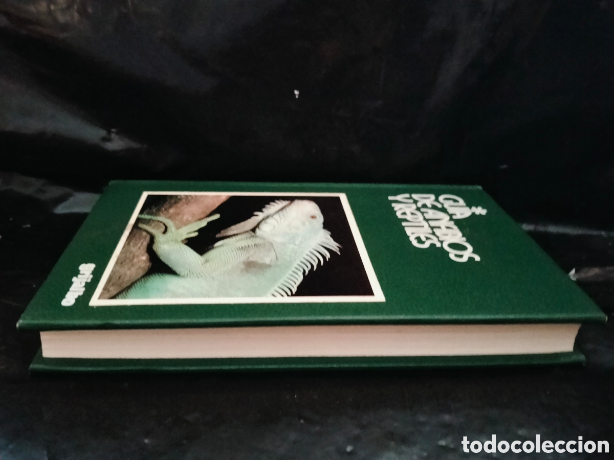 Libros de segunda mano: MASSIMO CAPULA. GU&Iacute;A DE ANFIBIOS Y REPTILES .GRIJALBO - Foto 11