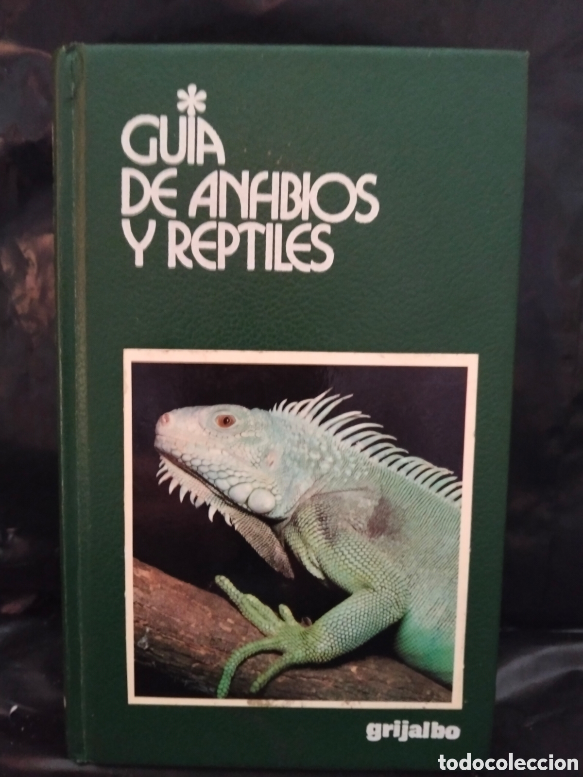Libros de segunda mano: MASSIMO CAPULA. GU&Iacute;A DE ANFIBIOS Y REPTILES .GRIJALBO