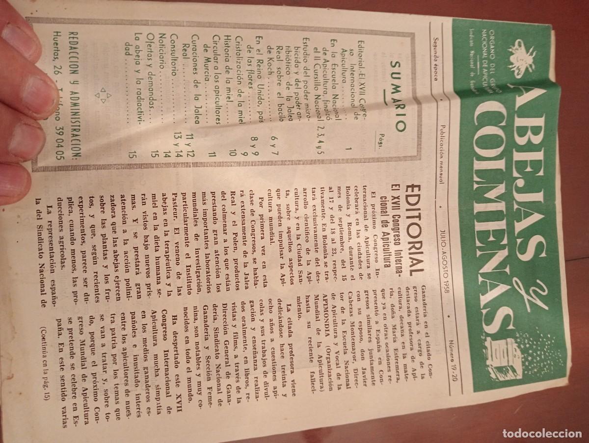 Libros de segunda mano: ABEJAS Y COLMENAS JULIO AGOSTO 1958 N&deg; 19 ESCUELA NACIONAL APICULTURA, COLMENEROS REVISTA APICOLA